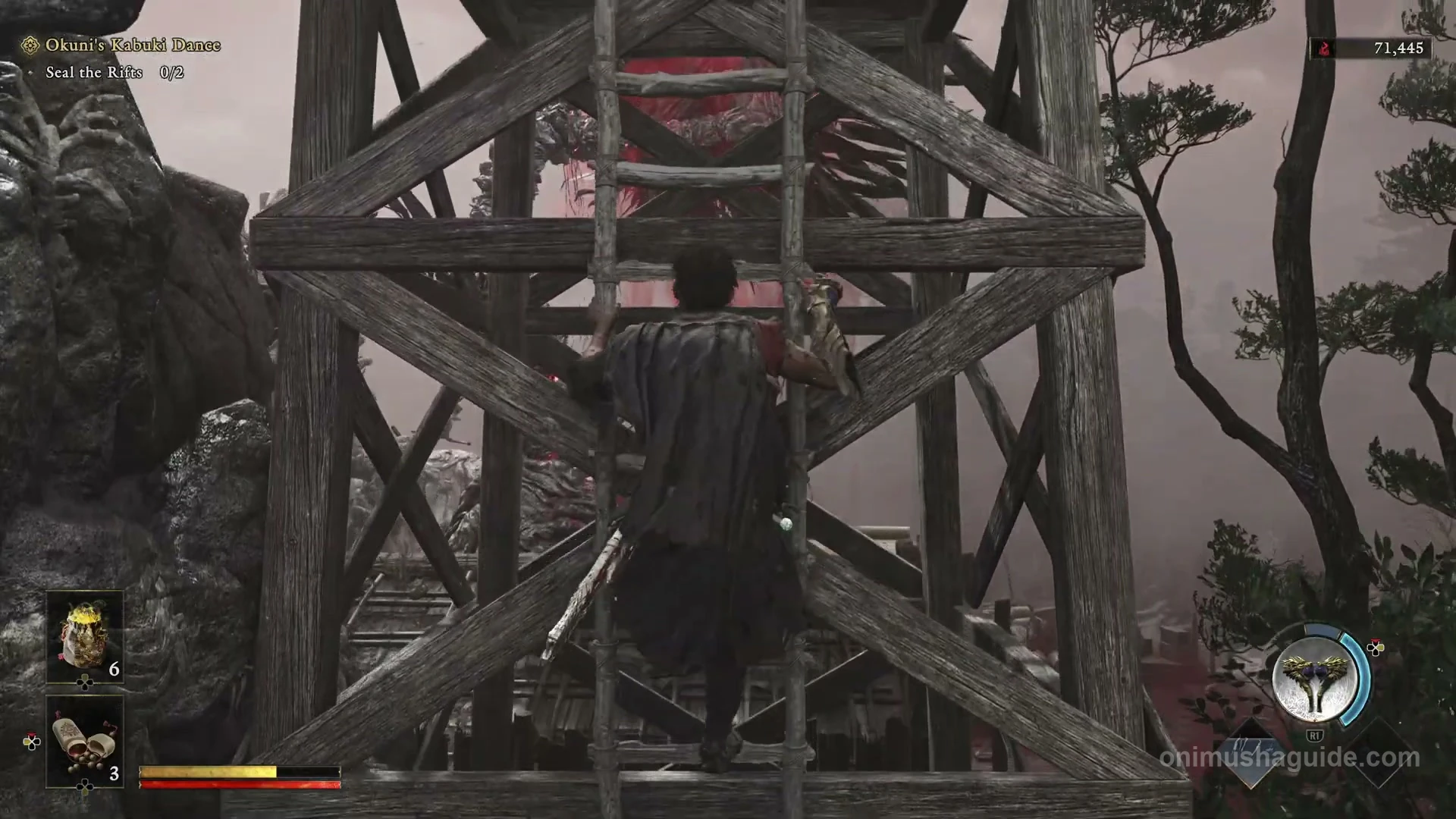 Tall wooden scaffold ladder leading from the yard to the higher rooftop route