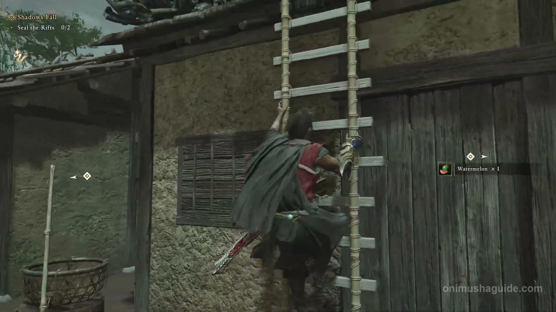 Exterior ladder on the house beside the stone passage leading to the first Rift