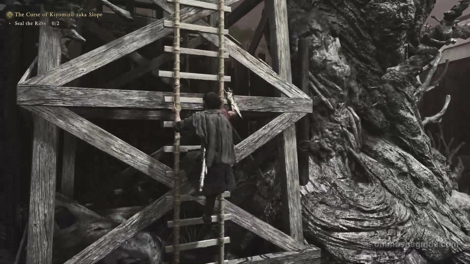 Ladder on the diagonally braced wooden tower beyond the courtyard barrier