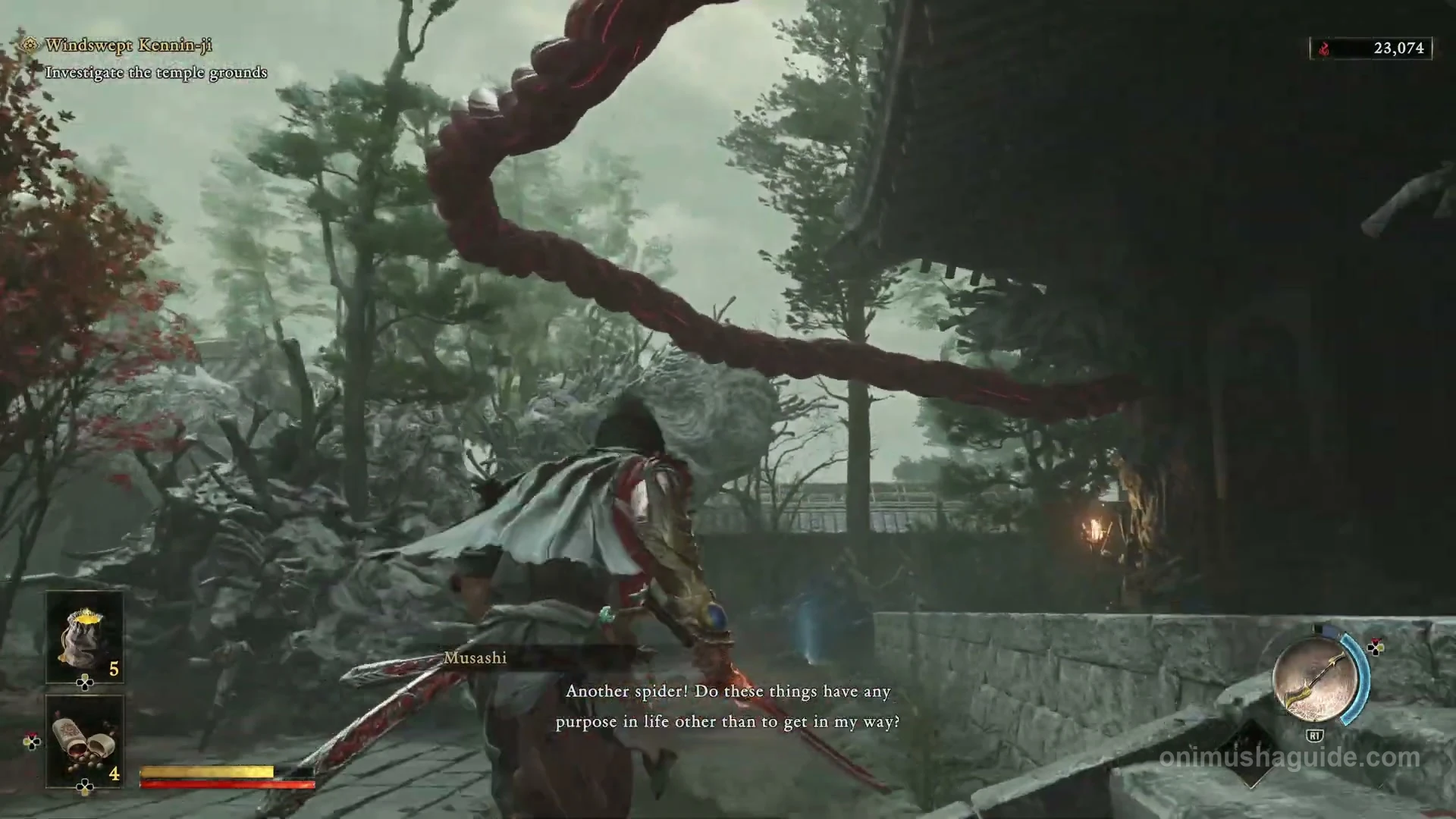 Red threads revealed above the blocked Dharma Hall and the surrounding roots